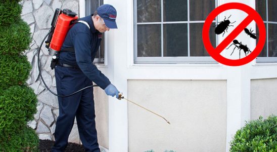 Bahçelerarası Böcek ve Haşere İlaçlama böcek ilaçlama ve haşere kontrolü — ilaclama-tr.com